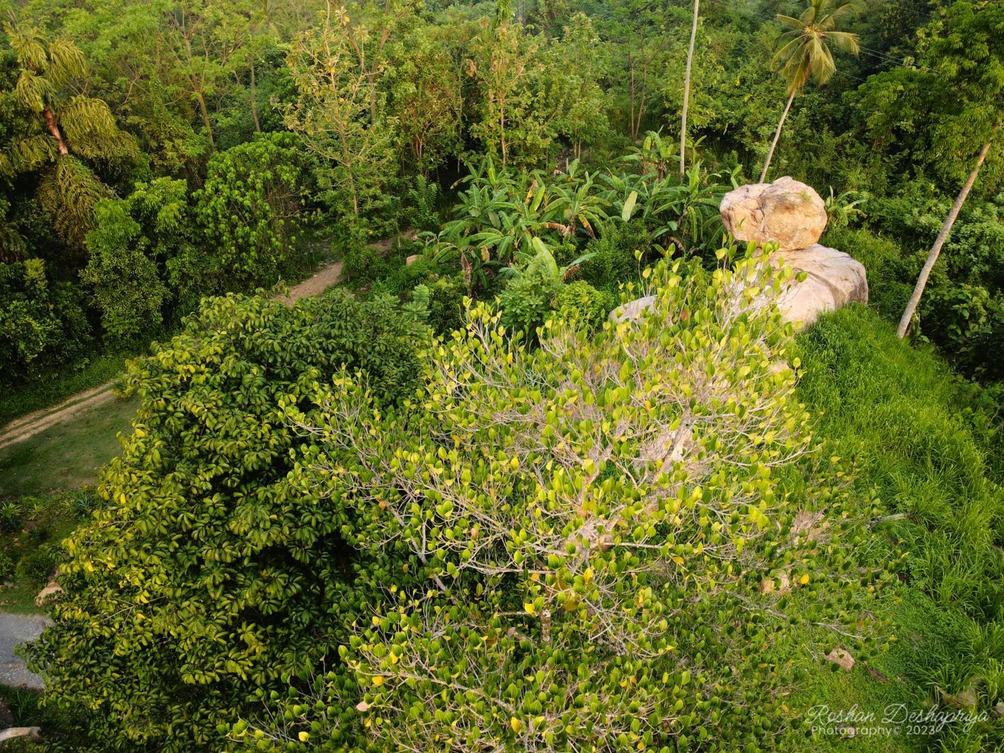 Kakulanda Resort Kurunegala Dış mekan fotoğraf